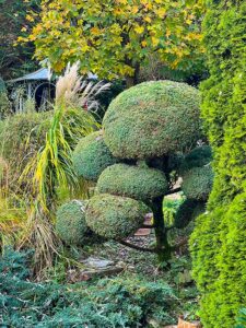 Garten-Bauer-3