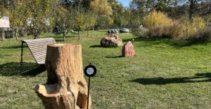 Natur im Garten (Bild: ORF/Talk TV/Lena Weithofer)