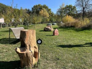 Natur im Garten (Bild: ORF/Talk TV/Lena Weithofer)