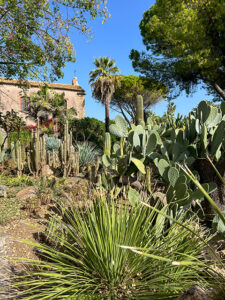Sukkulenten in Hülle und Fülle San Guiliana