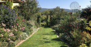 Natur im Garten in Straden (Bild: ORF/Talk TV/Lena Weithofer)