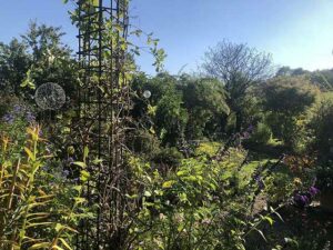 Natur im Garten in Straden (Bild: ORF/Talk TV/Lena Weithofer)
