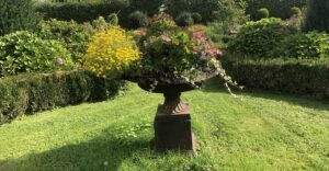Natur im Garten in Schiedlberg (Bild: ORF/Talk TV/Lena Weithofer