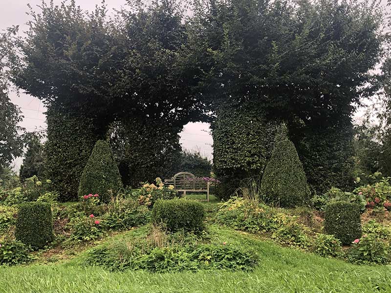 Natur im Garten in Schiedlberg (Bild: ORF/Talk TV/Lena Weithofer