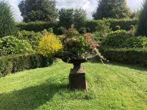 Natur im Garten in Schiedlberg (Bild: ORF/Talk TV/Lena Weithofer