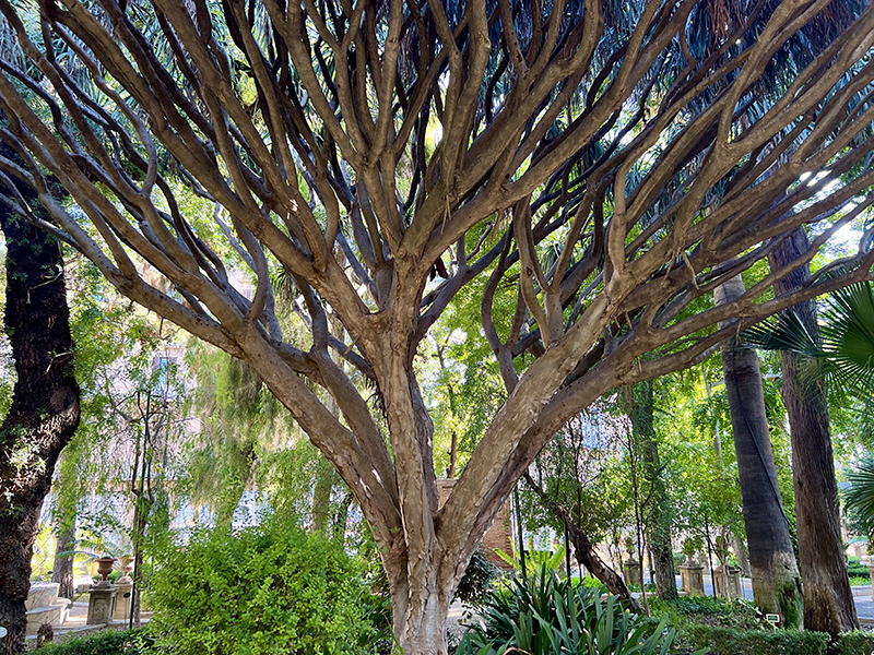 Botanischer Garten Sizilien