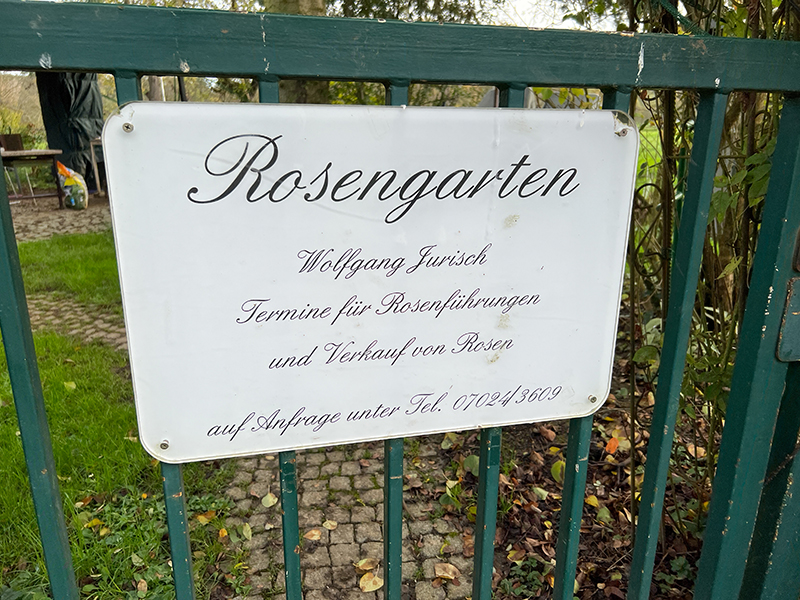 Rosengarten Jurisch