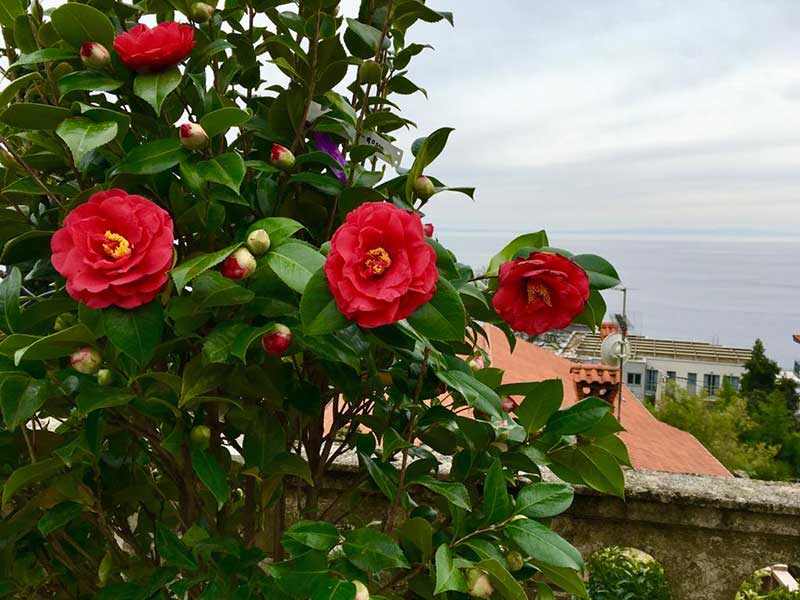 Gartenreise nach Opatja