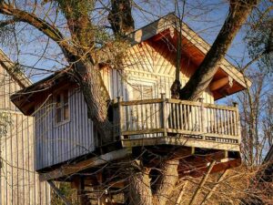 Baumhaus