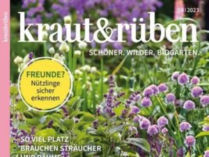kraut&rüben