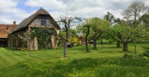 Rasen und Blumenwiese
