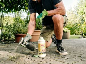 Acetum (Substral) (Werbung)