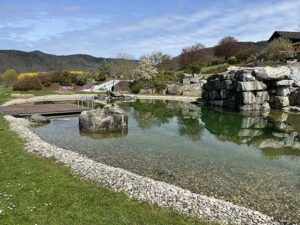 Natur im Garten (Bild: ORF/Talk TV/Lena Weithofer)