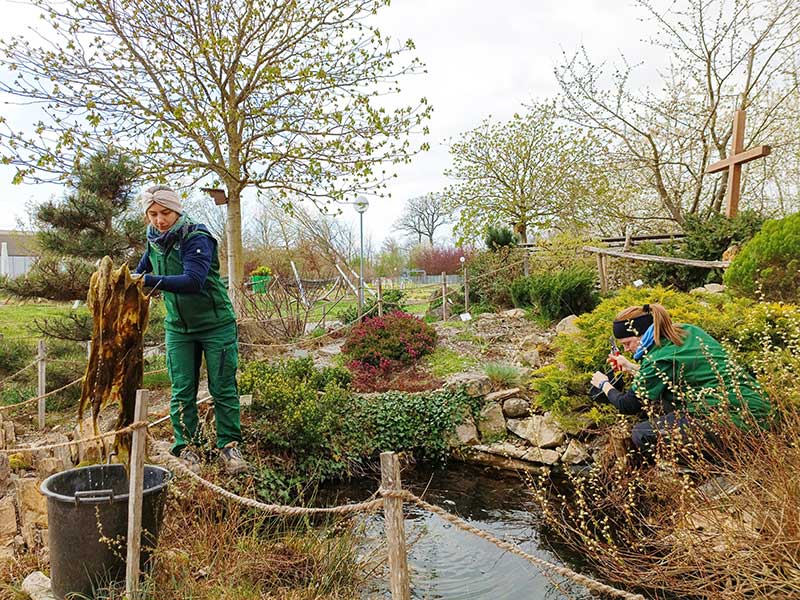 Natur im Garten (Bild: ©Leopold Mayrhofer/Natur im Garten)