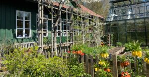 Frühling im Garten