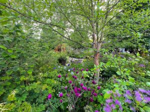 Geordnete Natur - die Gartentrends 2023