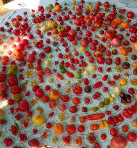 Tomatenvielfalt