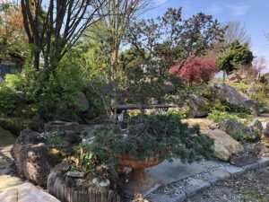 Natur im Garten (Bild: ORF/Talk TV/Lena Weithofer)