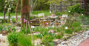 Natur im Garten (Bild: ©Leopold Mayrhofer/Natur im Garten)