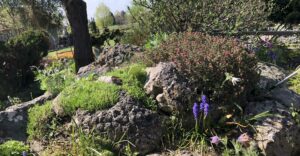 Natur im Garten (Bild: ORF/Talk TV/Lena Weithofer)