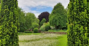 Natur im Garten (Bild: ORFTalk/TV/Lena Weithofer)