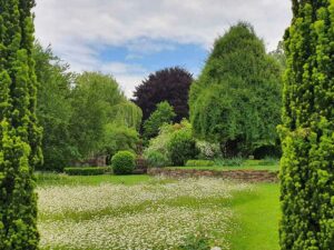 Natur im Garten (Bild: ORFTalk/TV/Lena Weithofer)