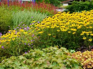 Natur im Garten (Bild: Leopold Mayrhofer)