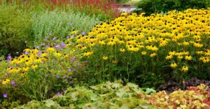 Natur im Garten (Bild: Leopold Mayrhofer)