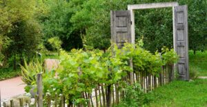 Natur im Garten (Bild: Leopold Mayrhofer/Natur im Garten)