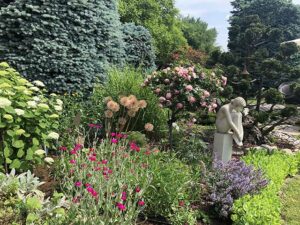 Natur im Garten (Bild: ORF/Talk-TV/Lena Weithofer)