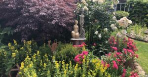 Natur im Garten (Bild: ORF/Talk-TV/LenaWeithofer)