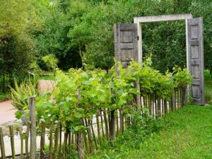 Natur im Garten (Bild: Leopold Mayrhofer/Natur im Garten)