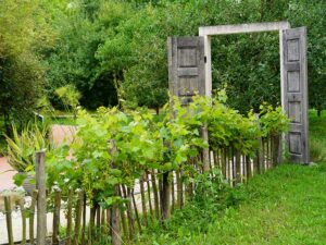 Natur im Garten (Bild: Leopold Mayrhofer/Natur im Garten)