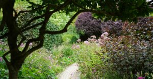 Natur im Garten (Bild: Leopold Mayrhofer/Natur im Garten)