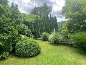 Natur im Garten (Bild: ORF/Talk-TVLenaWeithofer