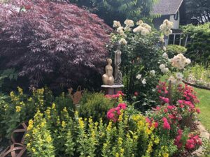 Natur im Garten (Bild: ORF/Talk-TV/LenaWeithofer)