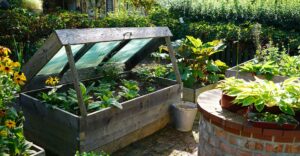Natur im Garten (Bild: Leopold Mayrhofer/Natur im Garten)