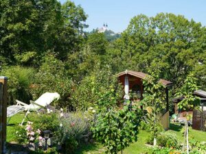 Natur im Garten (Bild: Leopold Mayrhofer/Natur im Garten)