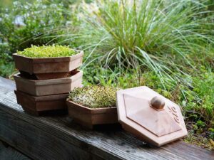 Natur im Garten (Bild: Leopold Mayrhofer/Natur im Garten)