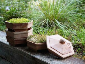 Natur im Garten (Bild: Leopold Mayrhofer/Natur im Garten)