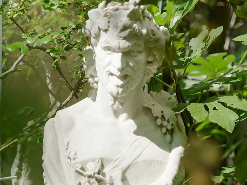 Natur im Garten in Salzburg (Bild: Leopold Mayrhofer, Natur im Garten)