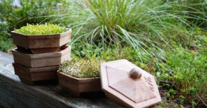 Natur im Garten (Bild: Leopold Mayrhofer/Natur im Garten)