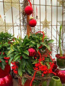 Ohne Beeren geht es im Advent nicht
