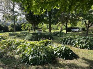 Natur im Garten (Bild: ORF/Talk-TV/Yalda Maria Walter