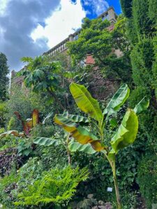 Mediterrane Stimmung in Powis Castle