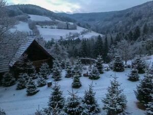 Schüttkasten im Winter