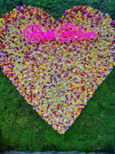 Rosen in Hülle und Fülle