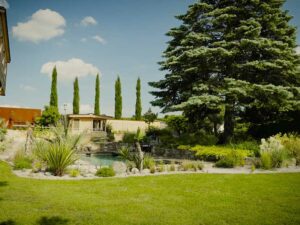 Natur im Garten (Bild: ORF/Talk TV)