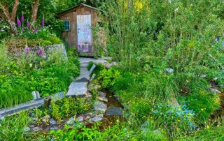 Natur pur - einer der Trends der Gartengestaltung