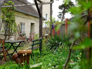 Natur im Garten (Bild: Leopold Mayrhofer/Natur im Garten)